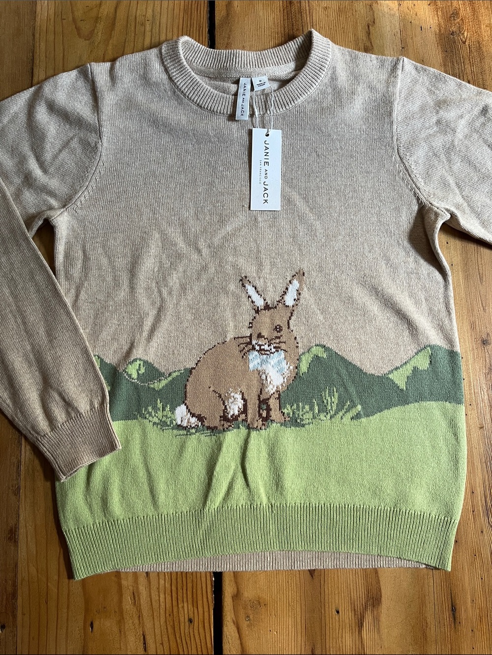 New! JANIE & JACK 10 Bunny Intarsia Easter Sweater Crew 100% Cotton